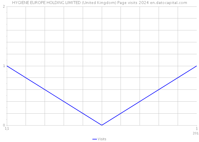 HYGIENE EUROPE HOLDING LIMITED (United Kingdom) Page visits 2024 