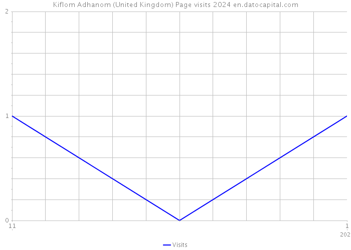 Kiflom Adhanom (United Kingdom) Page visits 2024 