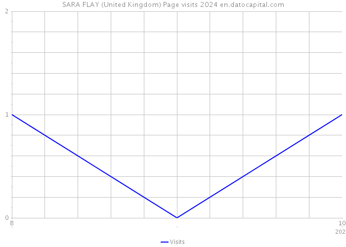 SARA FLAY (United Kingdom) Page visits 2024 