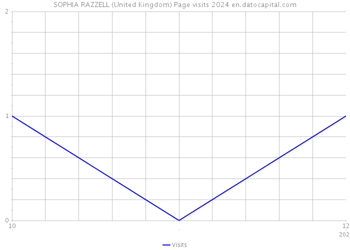 SOPHIA RAZZELL (United Kingdom) Page visits 2024 