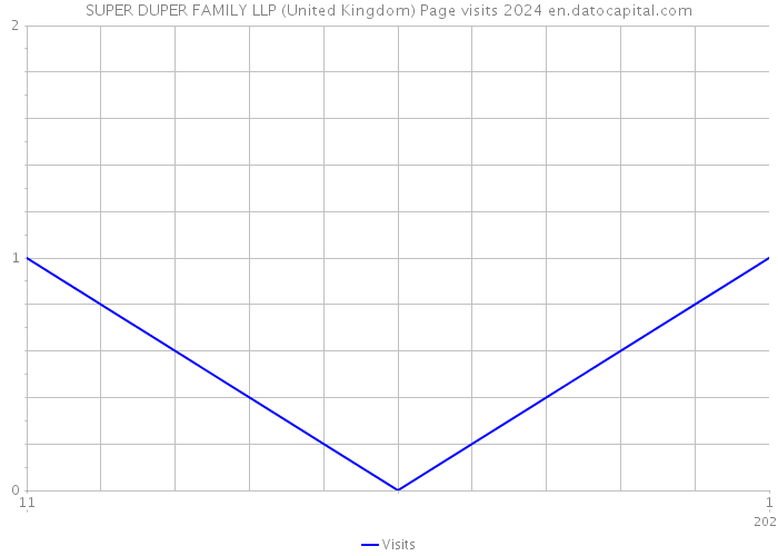 SUPER DUPER FAMILY LLP (United Kingdom) Page visits 2024 