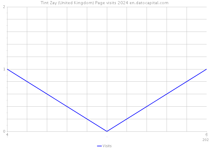 Tint Zay (United Kingdom) Page visits 2024 