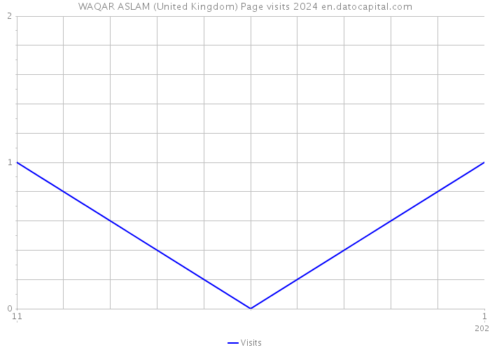 WAQAR ASLAM (United Kingdom) Page visits 2024 