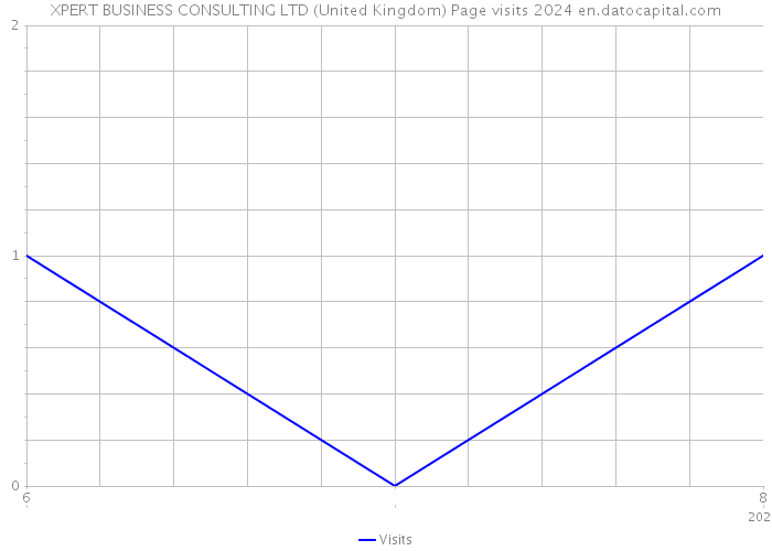 XPERT BUSINESS CONSULTING LTD (United Kingdom) Page visits 2024 