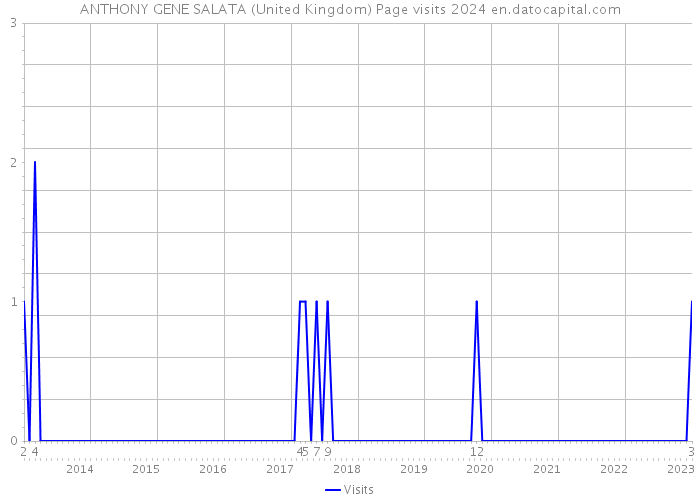 ANTHONY GENE SALATA (United Kingdom) Page visits 2024 