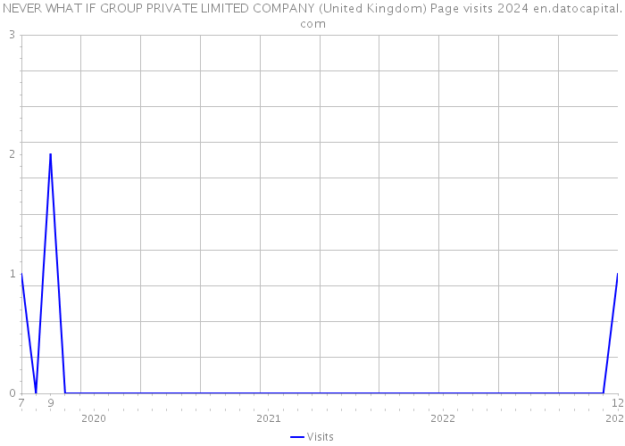 NEVER WHAT IF GROUP PRIVATE LIMITED COMPANY (United Kingdom) Page visits 2024 