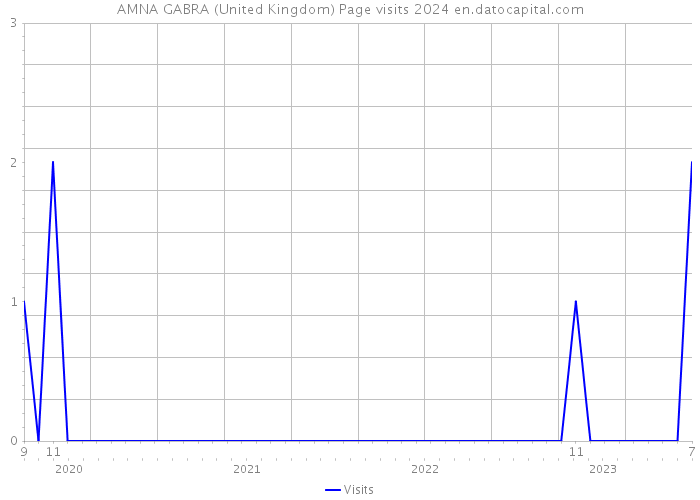 AMNA GABRA (United Kingdom) Page visits 2024 