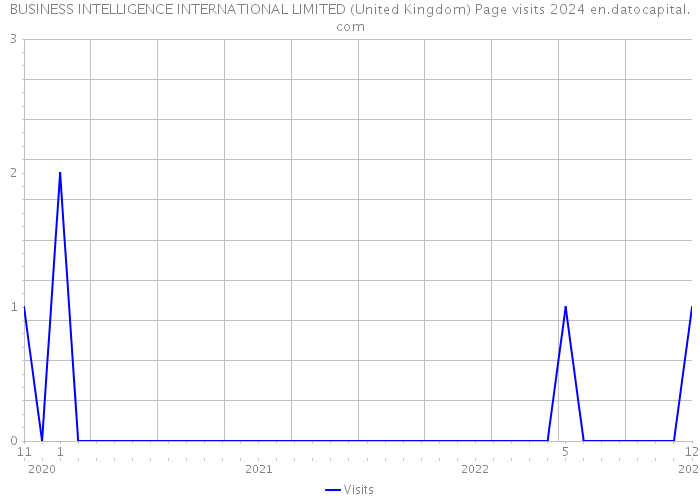 BUSINESS INTELLIGENCE INTERNATIONAL LIMITED (United Kingdom) Page visits 2024 