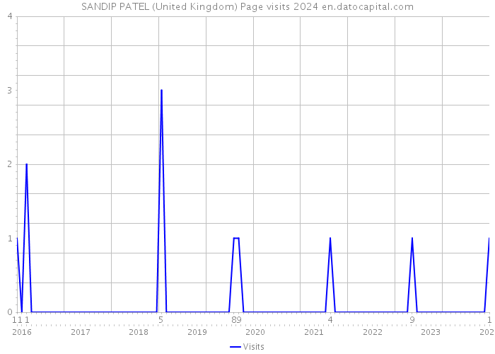 SANDIP PATEL (United Kingdom) Page visits 2024 