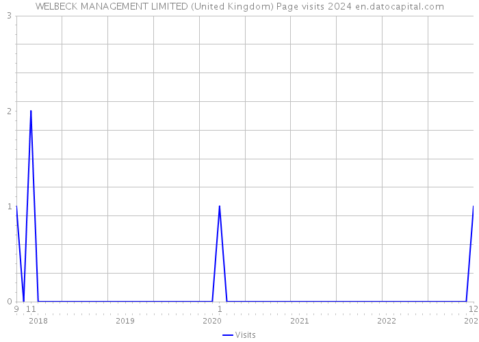 WELBECK MANAGEMENT LIMITED (United Kingdom) Page visits 2024 