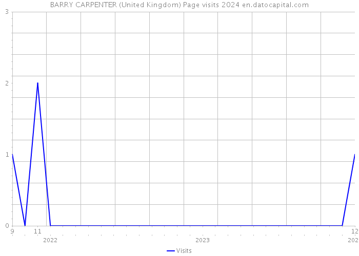 BARRY CARPENTER (United Kingdom) Page visits 2024 