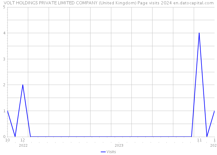 VOLT HOLDINGS PRIVATE LIMITED COMPANY (United Kingdom) Page visits 2024 
