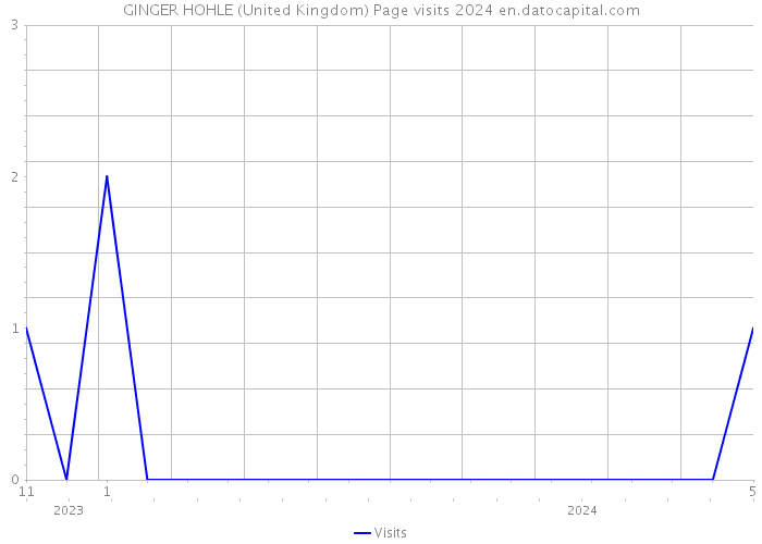 GINGER HOHLE (United Kingdom) Page visits 2024 