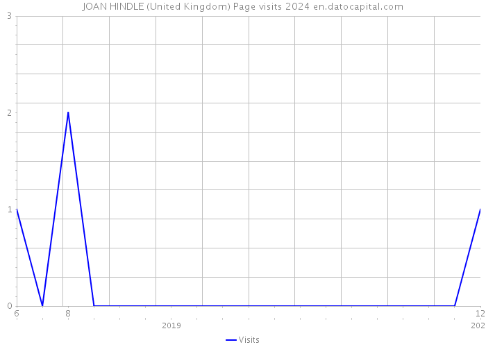 JOAN HINDLE (United Kingdom) Page visits 2024 
