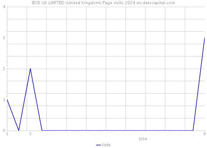 BO5 UK LIMITED (United Kingdom) Page visits 2024 