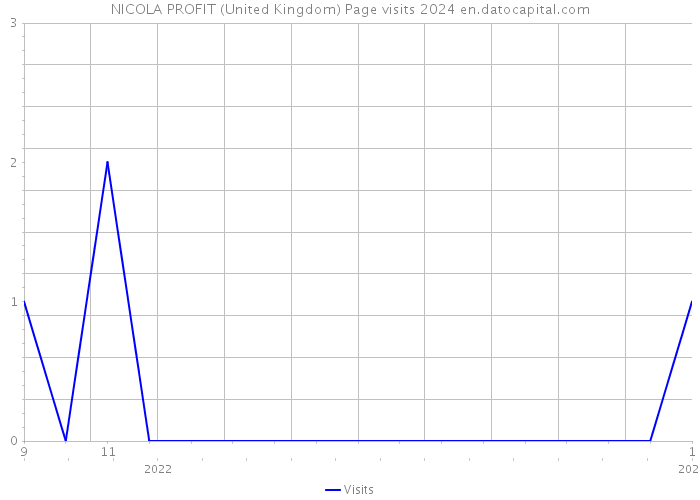 NICOLA PROFIT (United Kingdom) Page visits 2024 
