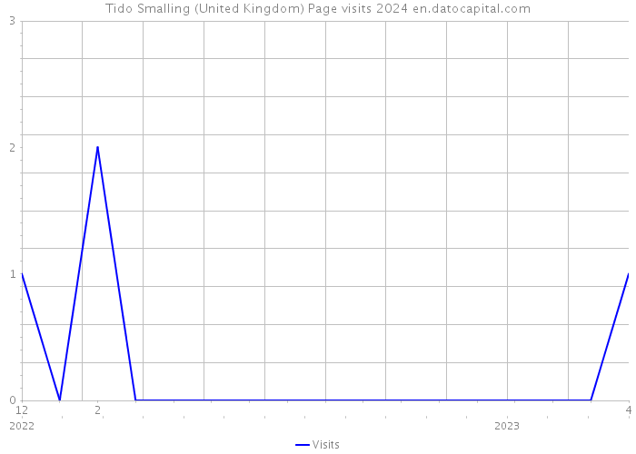Tido Smalling (United Kingdom) Page visits 2024 