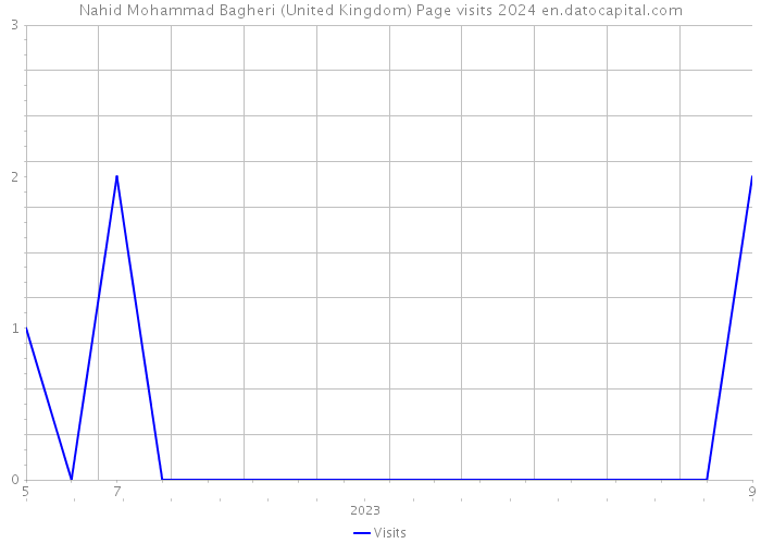Nahid Mohammad Bagheri (United Kingdom) Page visits 2024 