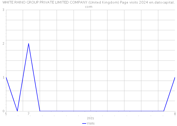WHITE RHINO GROUP PRIVATE LIMITED COMPANY (United Kingdom) Page visits 2024 