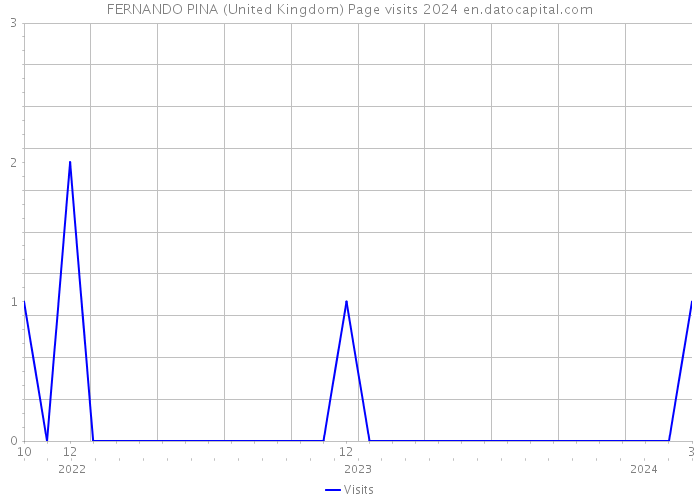 FERNANDO PINA (United Kingdom) Page visits 2024 