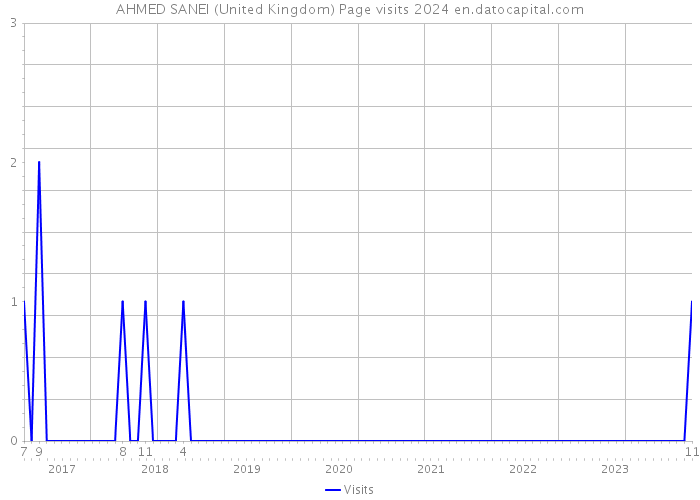 AHMED SANEI (United Kingdom) Page visits 2024 