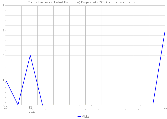 Mario Herrera (United Kingdom) Page visits 2024 