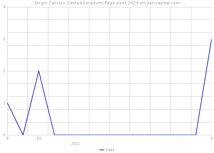 Sergio Caroleo (United Kingdom) Page visits 2024 