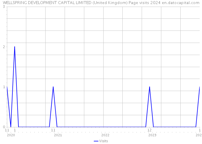 WELLSPRING DEVELOPMENT CAPITAL LIMITED (United Kingdom) Page visits 2024 