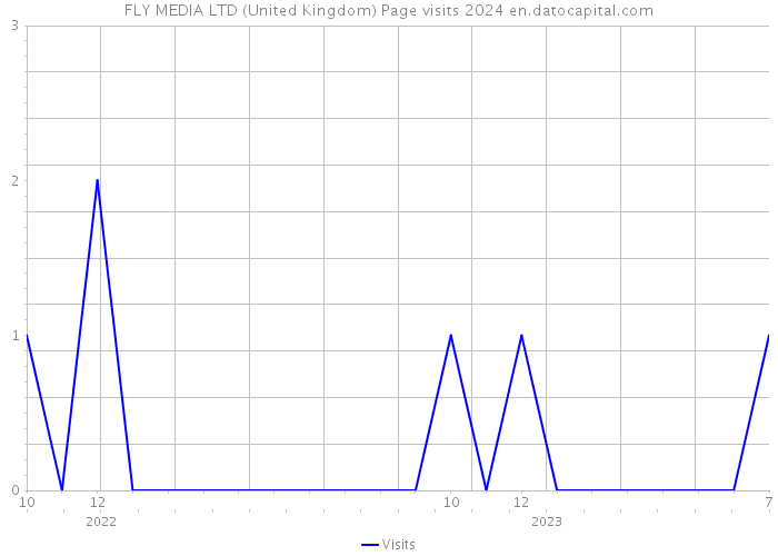 FLY MEDIA LTD (United Kingdom) Page visits 2024 