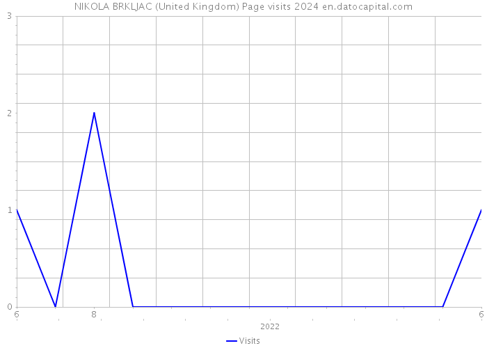 NIKOLA BRKLJAC (United Kingdom) Page visits 2024 