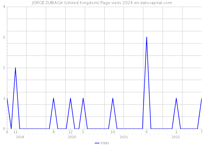 JORGE ZUBIAGA (United Kingdom) Page visits 2024 