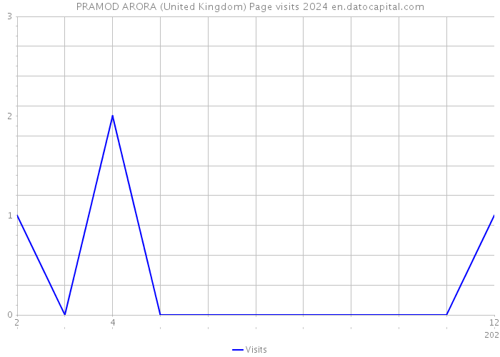 PRAMOD ARORA (United Kingdom) Page visits 2024 