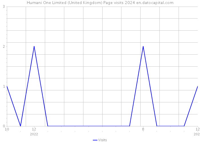 Humani One Limited (United Kingdom) Page visits 2024 