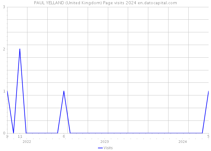PAUL YELLAND (United Kingdom) Page visits 2024 