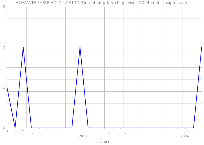 HOWGATE SABLE HOLDINGS LTD (United Kingdom) Page visits 2024 