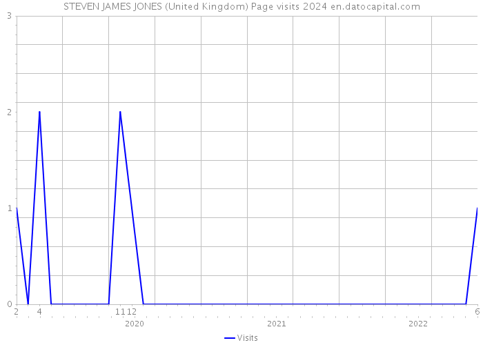 STEVEN JAMES JONES (United Kingdom) Page visits 2024 