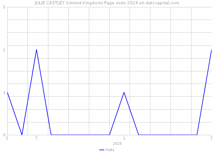 JULIE CASTLEY (United Kingdom) Page visits 2024 