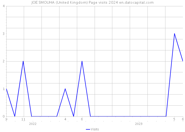 JOE SMOUHA (United Kingdom) Page visits 2024 