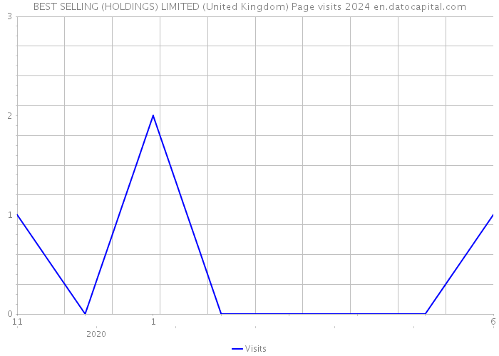 BEST SELLING (HOLDINGS) LIMITED (United Kingdom) Page visits 2024 