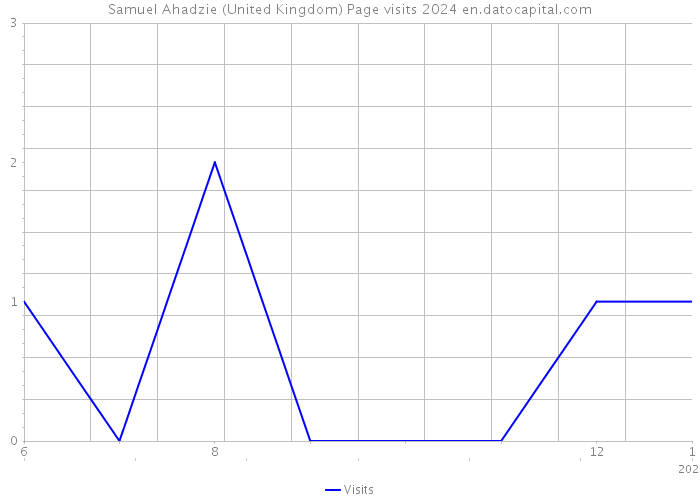 Samuel Ahadzie (United Kingdom) Page visits 2024 