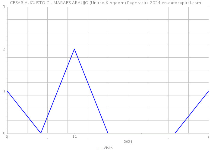 CESAR AUGUSTO GUIMARAES ARAUJO (United Kingdom) Page visits 2024 
