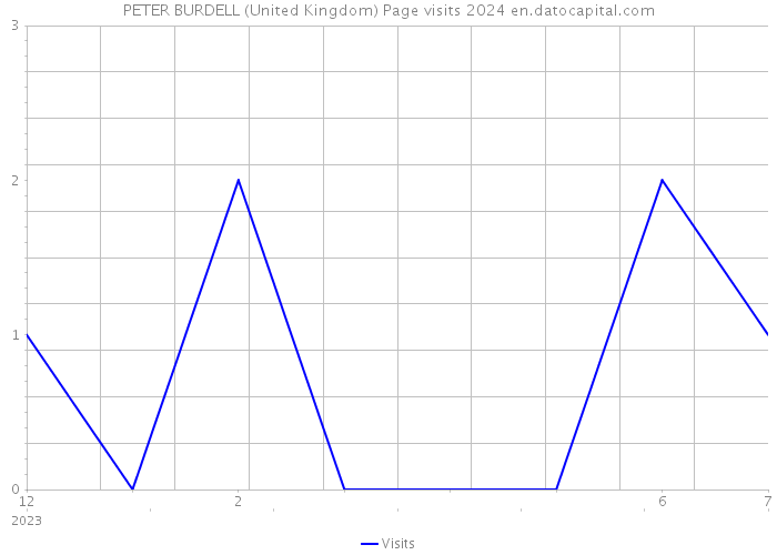 PETER BURDELL (United Kingdom) Page visits 2024 