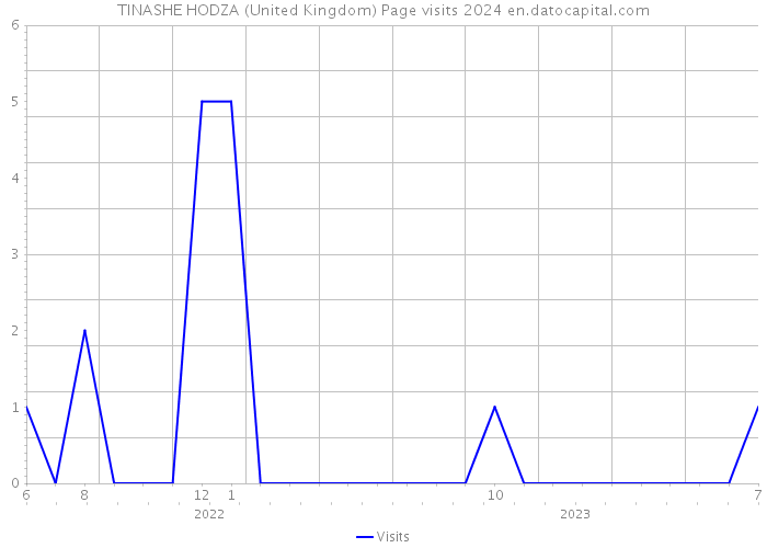 TINASHE HODZA (United Kingdom) Page visits 2024 