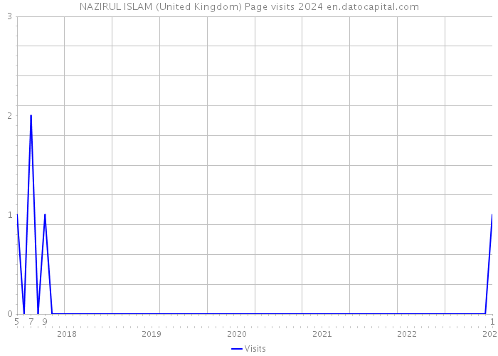 NAZIRUL ISLAM (United Kingdom) Page visits 2024 