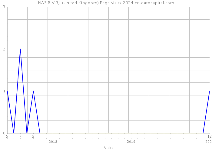 NASIR VIRJI (United Kingdom) Page visits 2024 