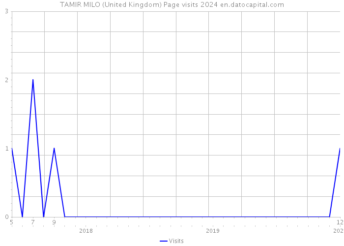 TAMIR MILO (United Kingdom) Page visits 2024 
