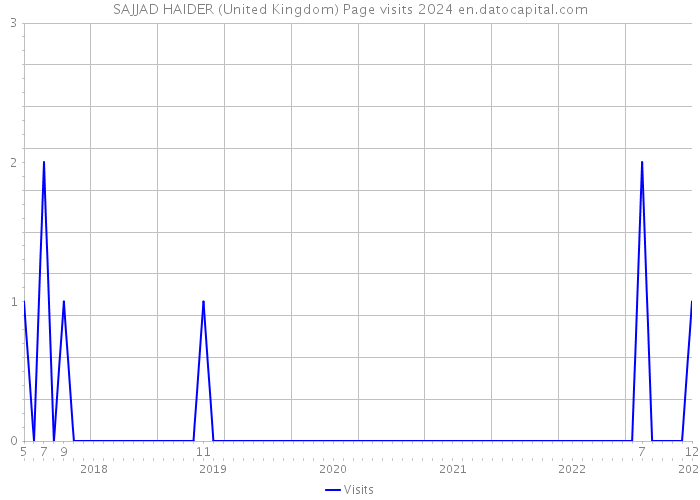 SAJJAD HAIDER (United Kingdom) Page visits 2024 