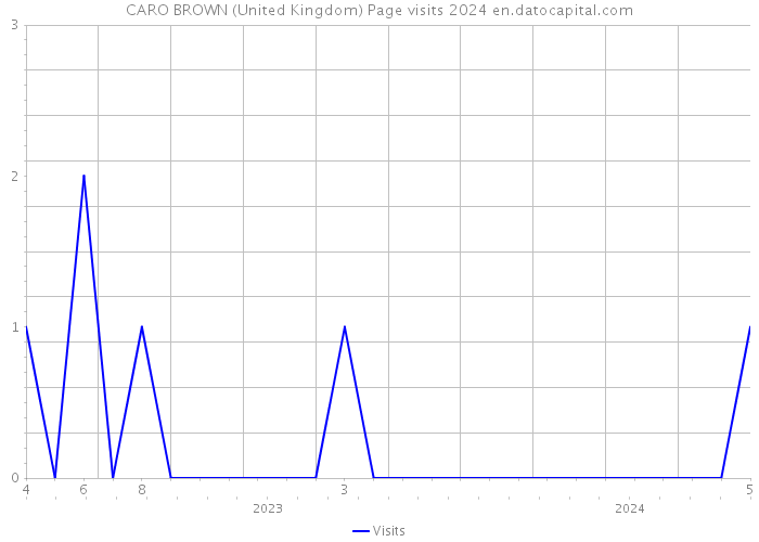 CARO BROWN (United Kingdom) Page visits 2024 