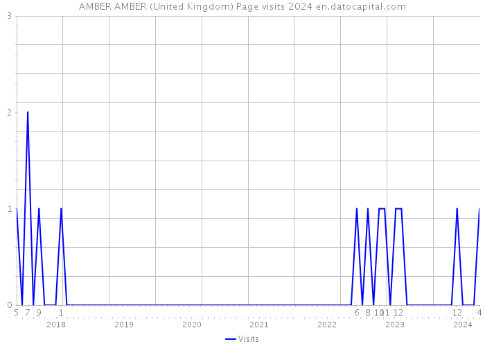 AMBER AMBER (United Kingdom) Page visits 2024 