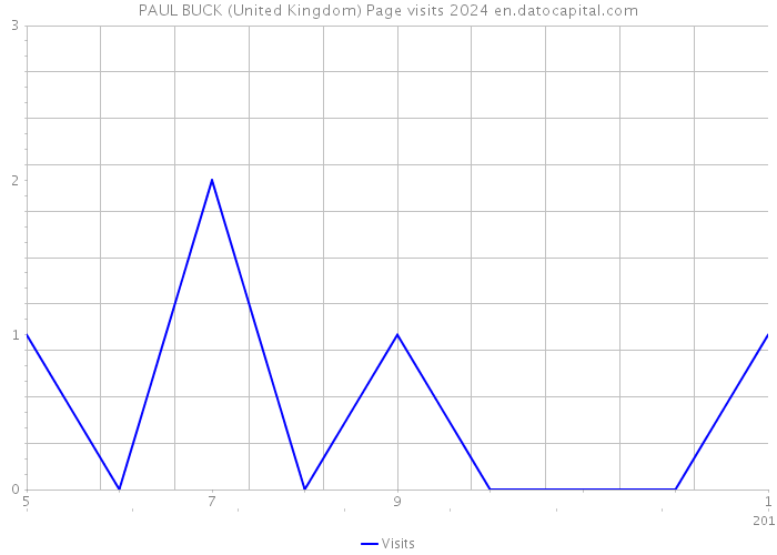 PAUL BUCK (United Kingdom) Page visits 2024 